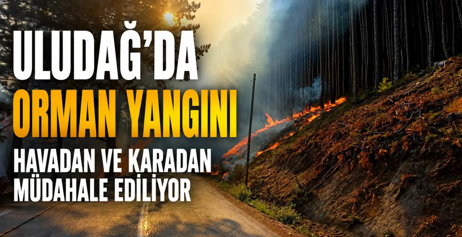 Uludağ'da ki orman yangınına havadan ve karadan müdahale