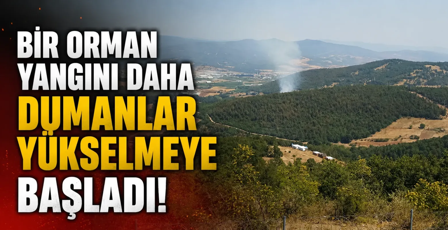 Ümitalan'da Orman Yangını! Ekipler Bölgeye Sevk Edildi