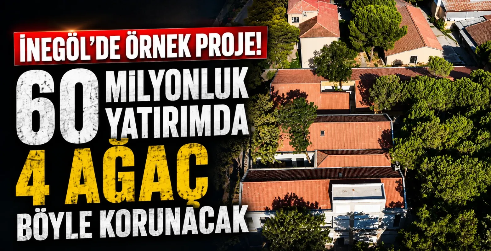 İnegöl'de örnek proje! 60 milyonluk yatırımda 4 ağaç böyle korunacak