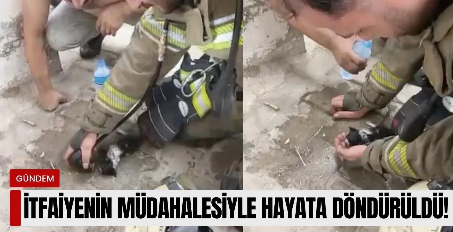 İtfaiyenin çabasıyla hayata döndürüldü!