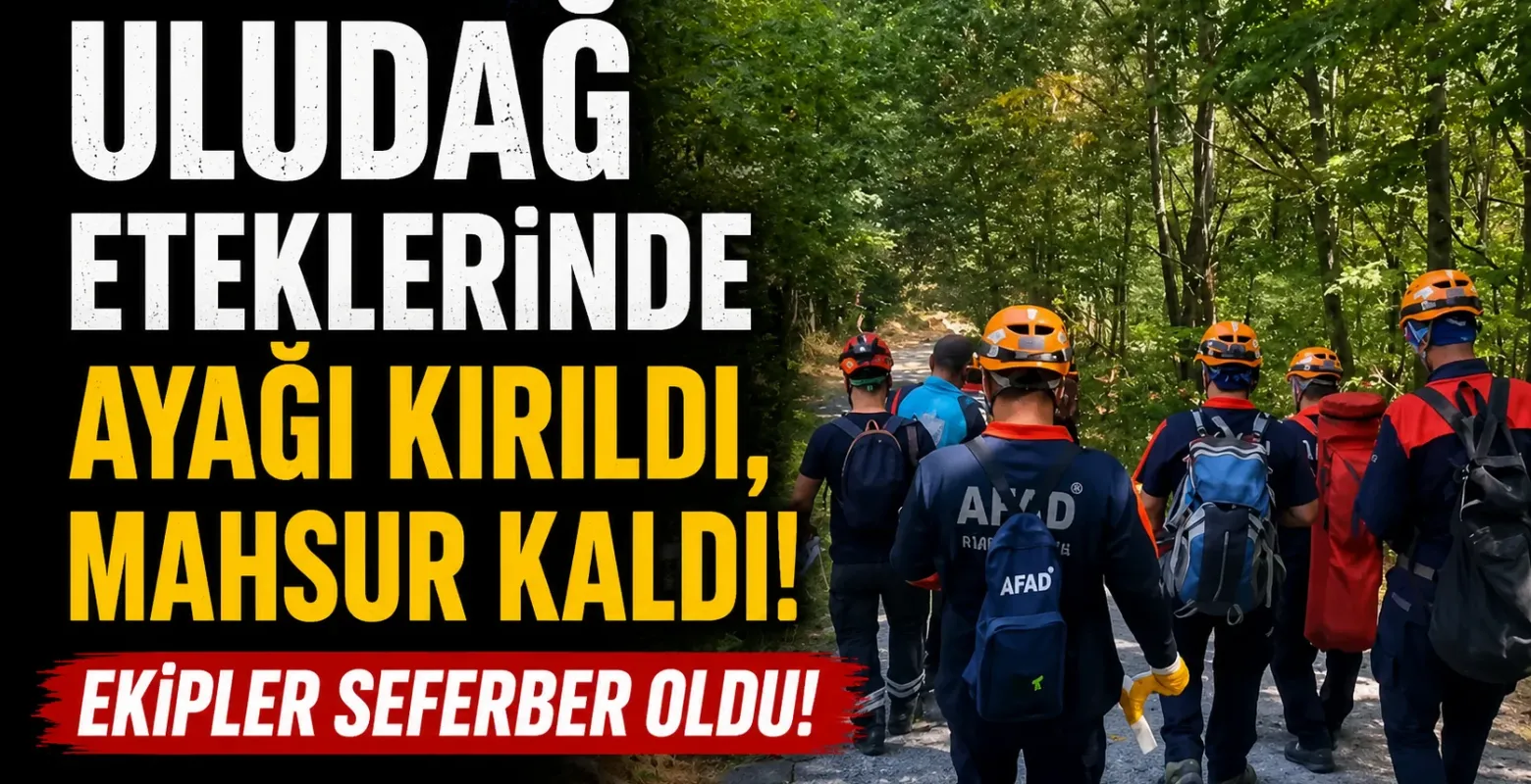 Uludağ eteklerinde ayağı kırıldı, mahsur kaldı!