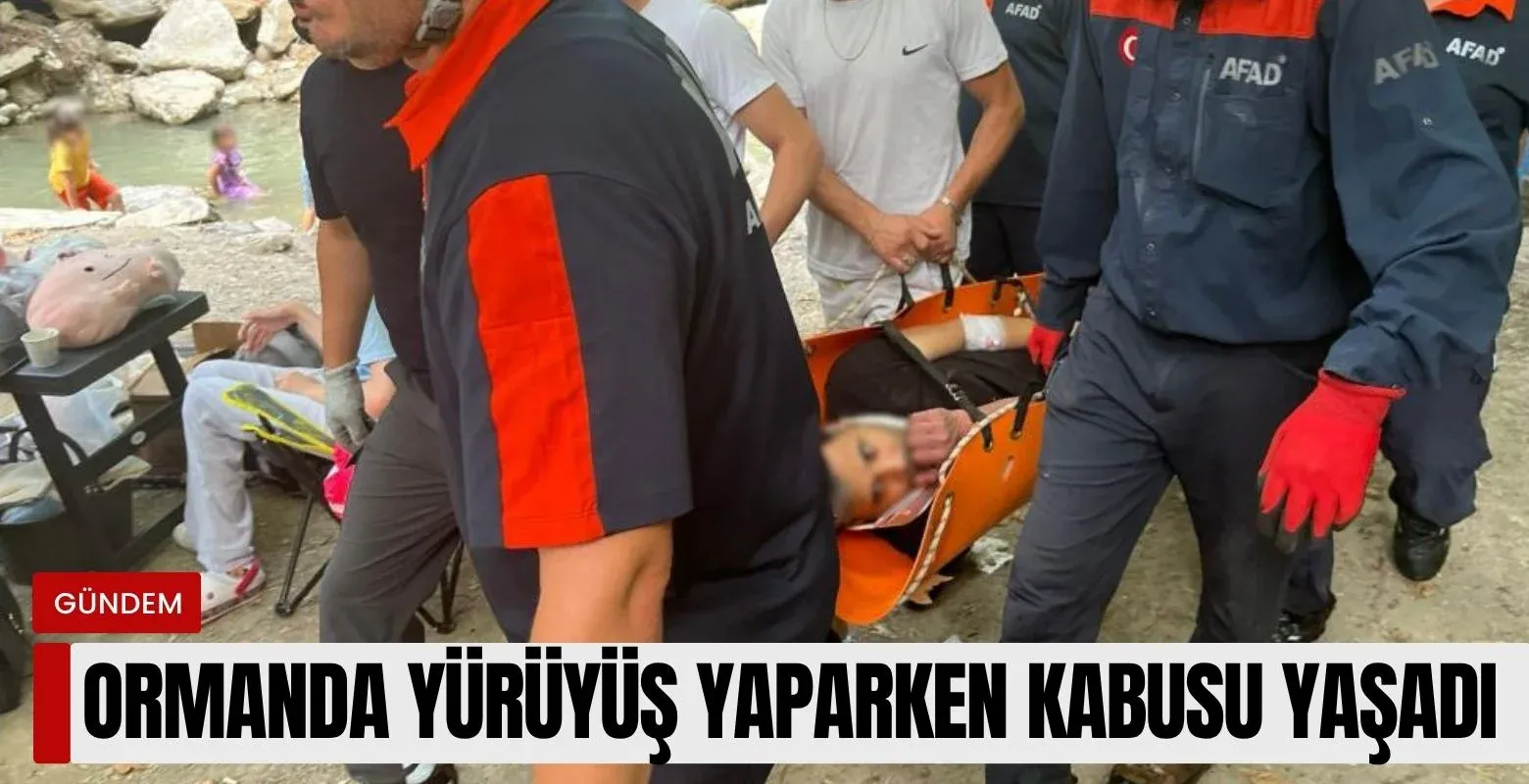 Ormanda yürüyüş yaparken kabusu yaşadı!