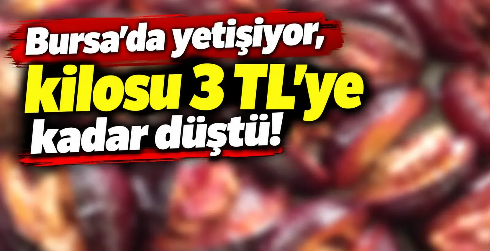 Bursa'da yetişiyor, kilosu 3 TL'ye kadar düştü!