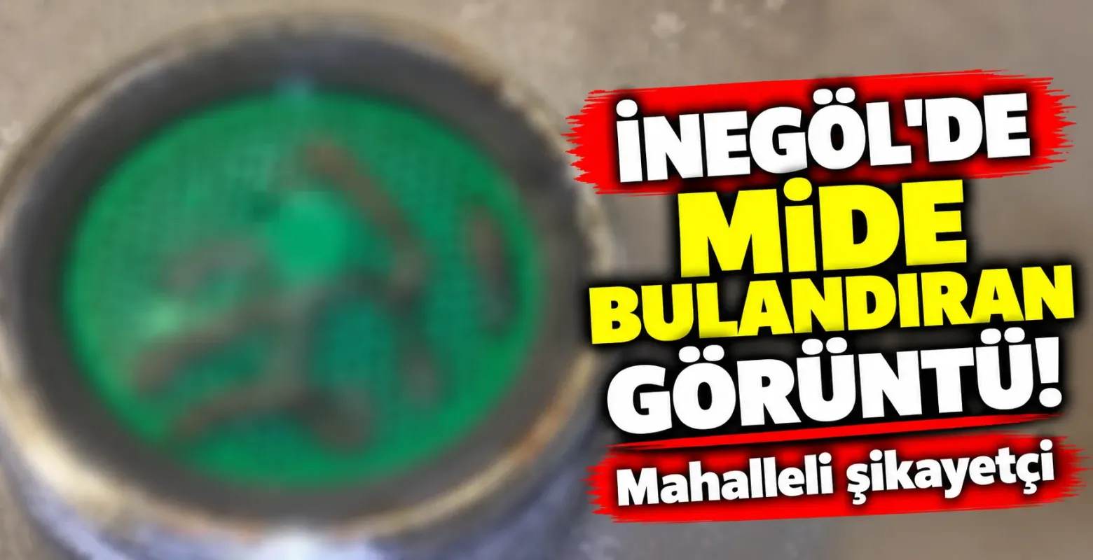 İnegöl'de mide bulandıran görüntü! Mahalleli şikayetçi