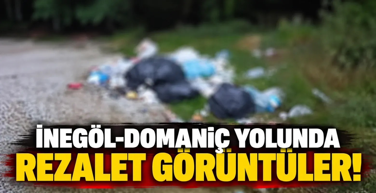 İnegöl-Domaniç yolunda rezalet görüntüler!
