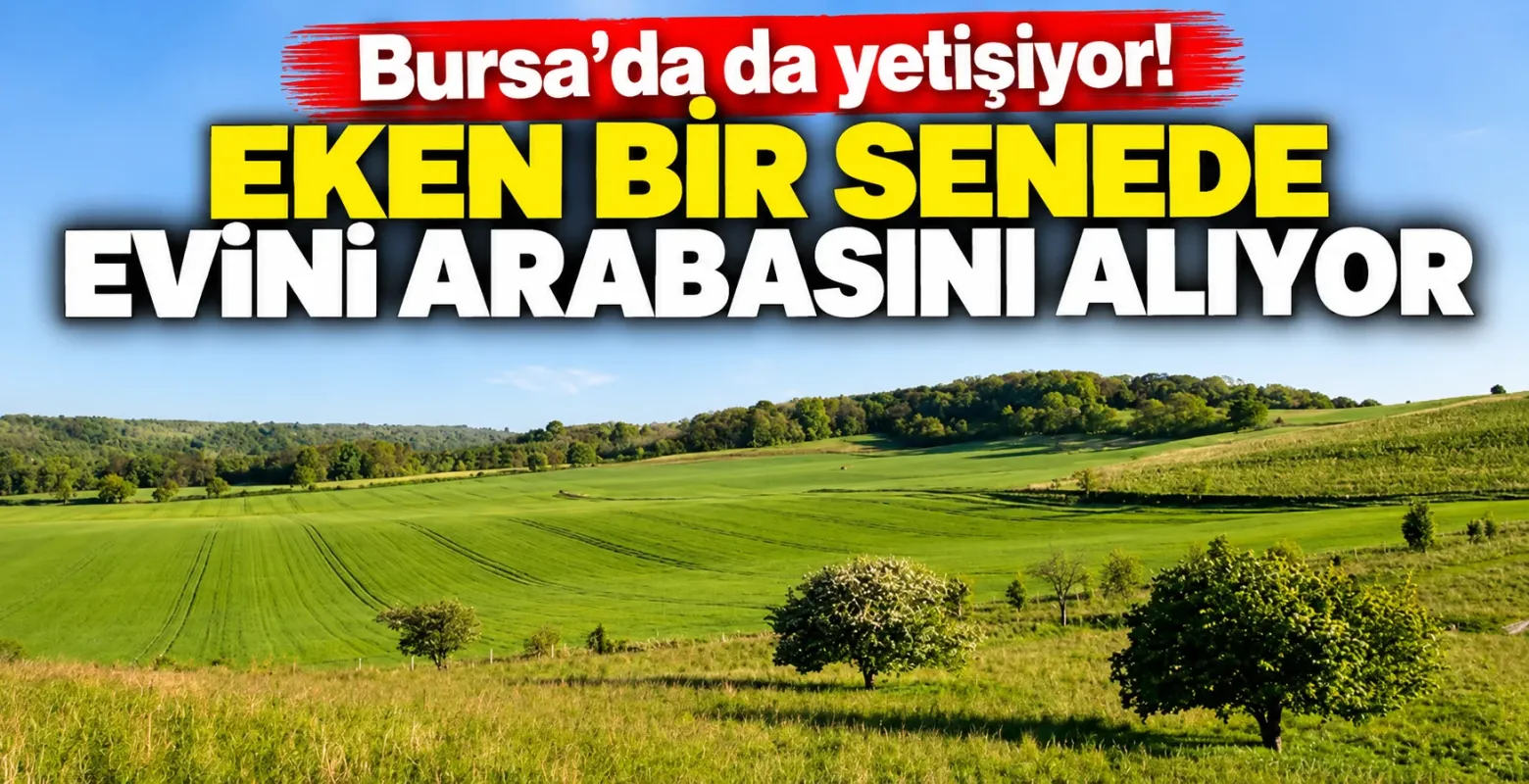 Bursa'da da yetişiyor! Eken bir senede evini arabasını alıyor