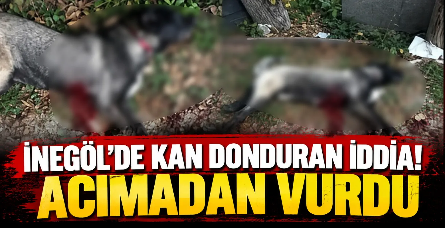 İnegöl'de kan donduran iddia! Komşusu öldürdü