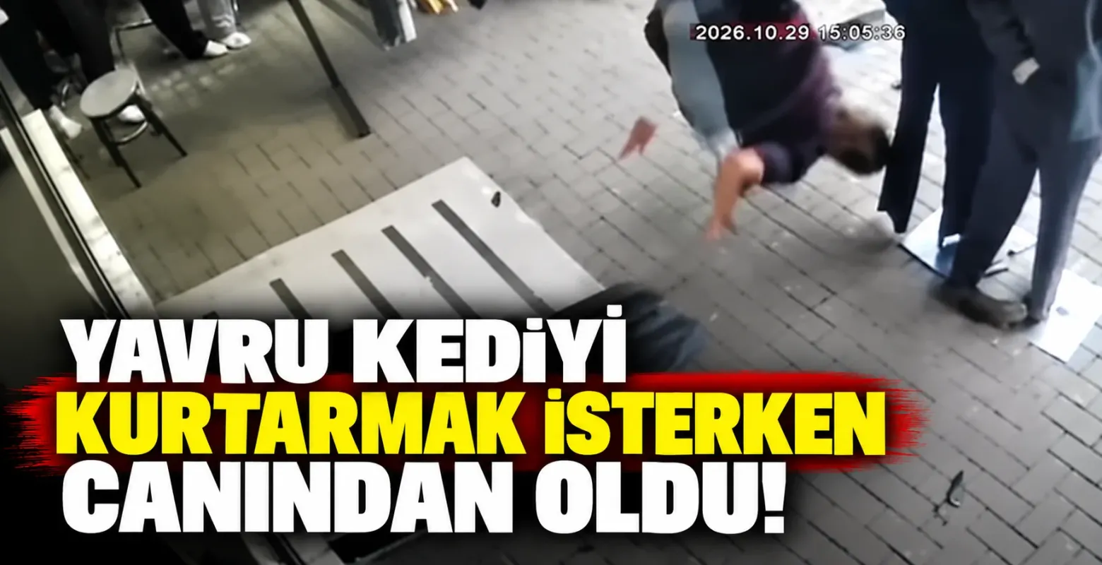 Yavru Kediyi Kurtarmak İsterken Canından Oldu!