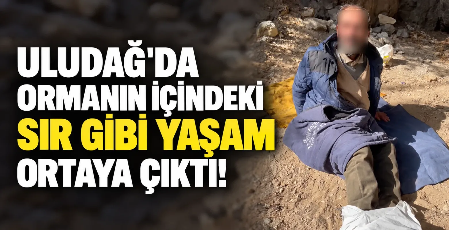 Uludağ'da Ormanın İçindeki Sır Gibi Yaşam Ortaya Çıktı!