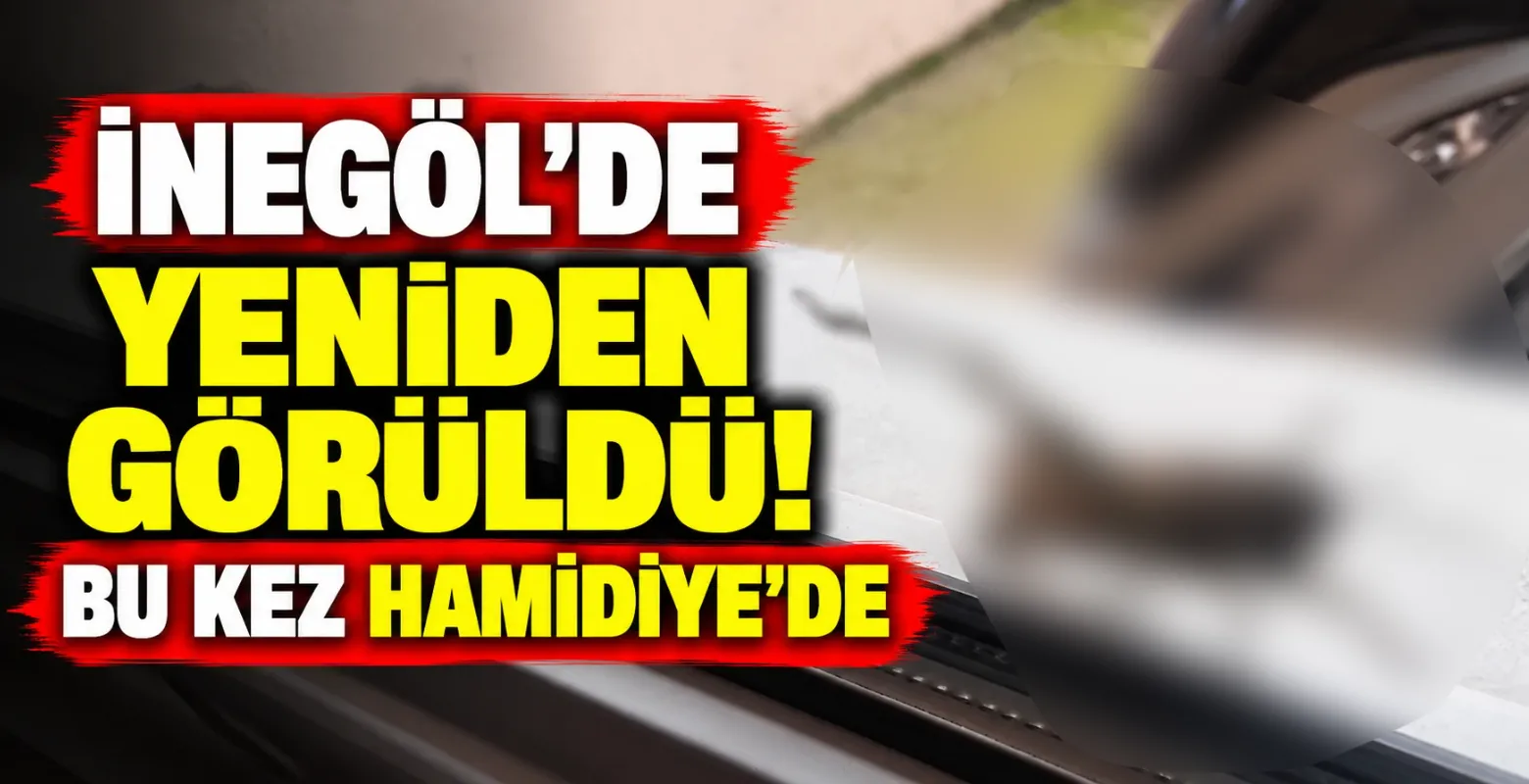 İnegöl'de Dev Çekirge Yeniden Görüldü! Bu Kez Hamidiye'de