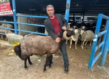 Bursa’daki kurbanlık pazarında hareketlilik