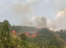 Bursa’da makilik alanda yangın