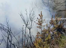 Bursa’da piknik alanı yakınındaki yangın korkuttu