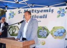 İznik’te 5. Maviyemiş Festivali’ne yoğun ilgi