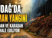 Uludağ'da ki orman yangınına havadan ve karadan müdahale