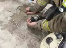 Yangında su ve oksijen verilen yavru kedi hayata döndürüldü