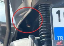 Bursa’da motosikletten çıkan yılan şoke etti