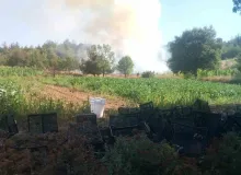 Bursa’da orman yangını: Havadan ve karadan müdahale başlatıldı