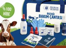 Bursa’da Büyükbaş Hayvan Yetiştiricilerine Yeni Destek