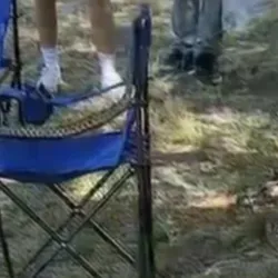 Dev yılan ekipleri harekete geçirdi