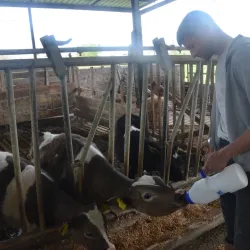 İnegöl'deki gencin hikayesi duyanları şaşırtıyor!