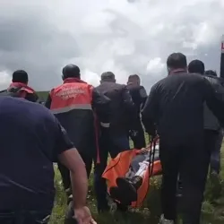 Mantar toplarken ayı saldırısına uğradı!