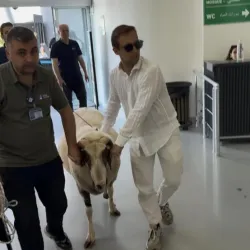 Kesilmeden önce bayramı yaşadı