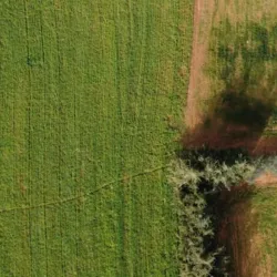 AB ülkeleri 2030 iklim hedefleri için zamanla yarışıyor