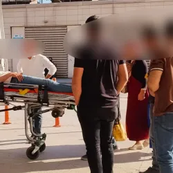 İnegöl'de meyve toplarken hastanelik oldu