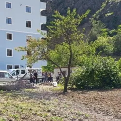 Eşini odunla döverek öldürdü