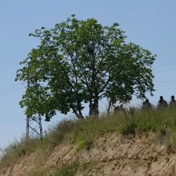 İnegöl'de korkunç olay! Kendini astı