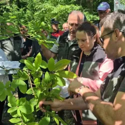 Bartın’da terminatör böceklerin katil arılarla mücadelesi sonuç vermeye başladı