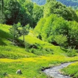 İnegöl’de nerede mangal yapılır? Mangal ve piknik yapılacak en güzel yerler