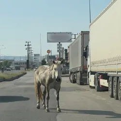 İnegöl'de trafiğe girdiler, ortalık karıştı
