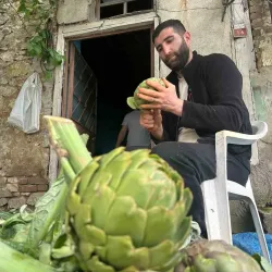 Enginar soyarak ayda en az 240 bin TL kazanıyorlar