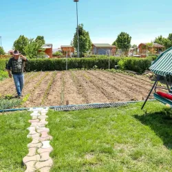 Hobi Bahçesi Sahiplerini İlgilendiren Karar Resmileşti