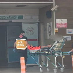 İnegöl'de tarlada çalışırken hastanelik oldu