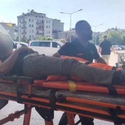 Ormanda kestiği ağaç üzerine düştü