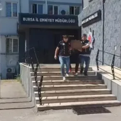 Kayısı toplamak işe yaramadı: 33 yıl cezaevinden çıkamayacak
