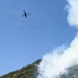 Bursa'da orman yangını! Ekiplerin müdahalesi sürüyor