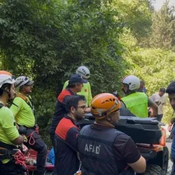 Ihlamur toplamaya gitti: Feci şekilde can verdi!