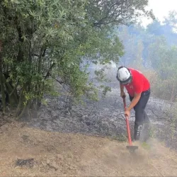 Rüzgarla büyüyen yangın kontrol altına alındı