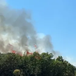 Bursa'da Orman Yangını! Ekipler Alevlere Karadan Müdahale Ediyor