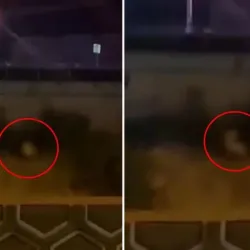 Yol kenarında skandal görüntüler! Kimseye aldırış etmediler