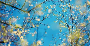 Cemre düşmesi nedir? 2026 cemre düşme tarihleri