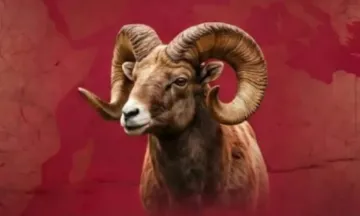 İnegöl Yardım Derneği kurban fiyatlarını duyurdu