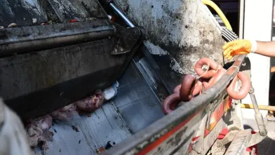 1 tona yakın sucuk imha edildi!