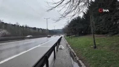 Yol kenarında beze sarılı bebek bulundu!