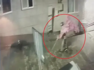 15 bin TL'lik ağacı sırtladı!