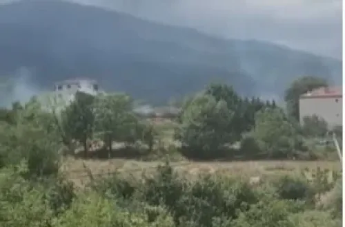 İnegöl Yeniceköy'de Orman Yangını! Bölgeye Ekipler Sevk Edildi
